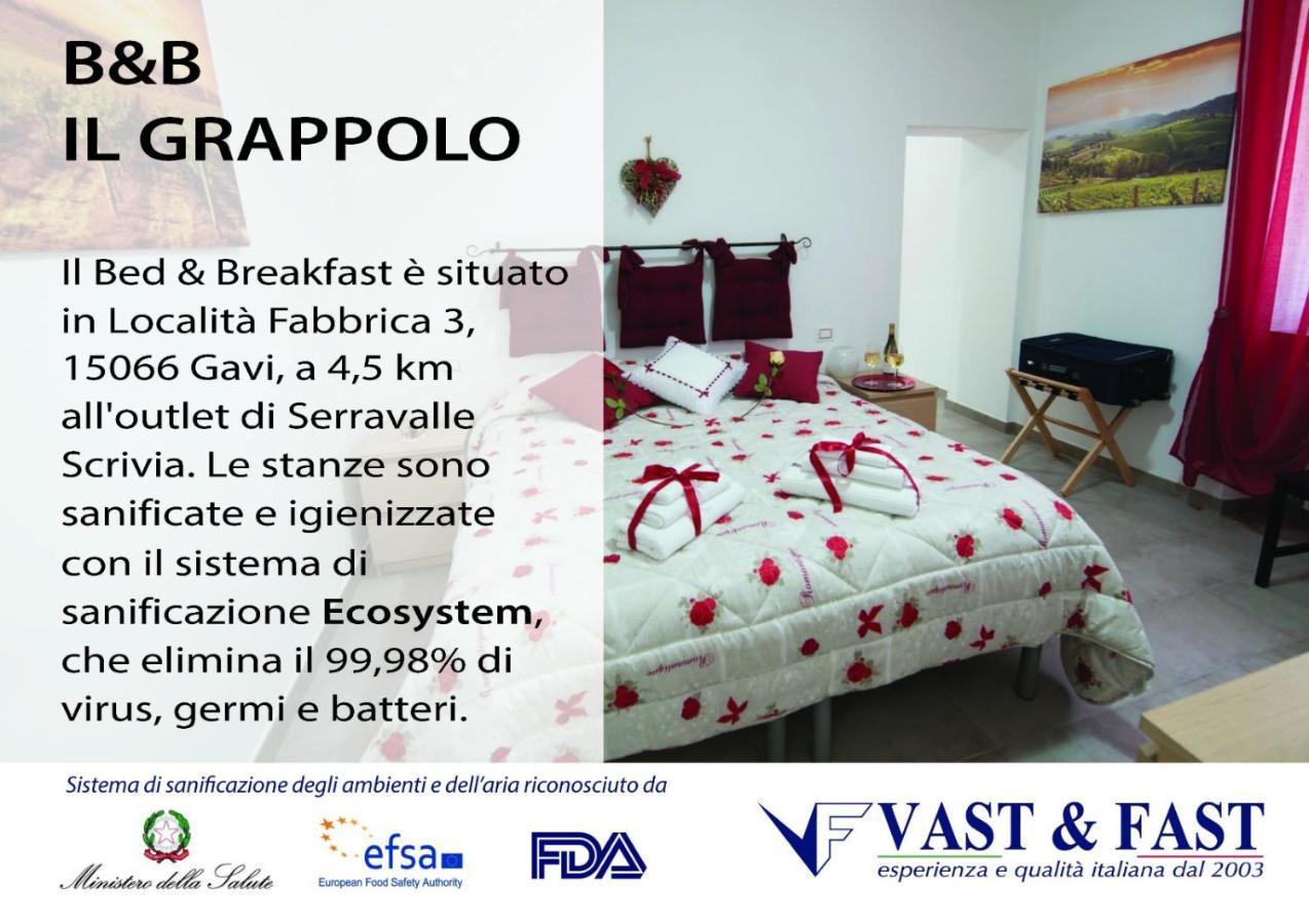 Il Grappolo -Affittacamere- Gavi Exteriér fotografie